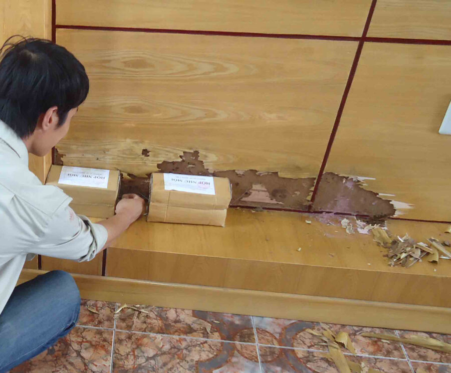 Anh Minh Tuấn – TP.HCM