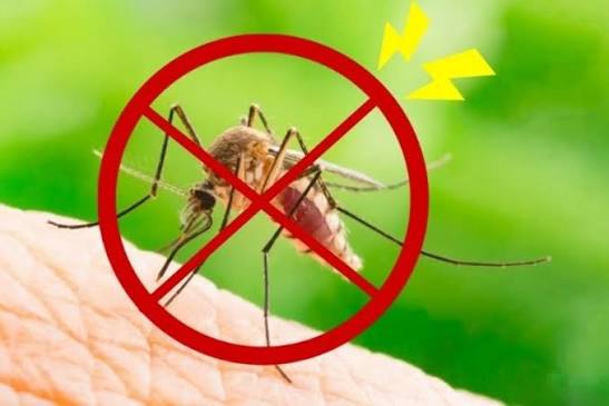 Dịch vụ diệt muỗi Huyện H&oacute;c M&ocirc;n