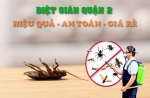 Diệt Gián Quận 2 Uy Tín – Dịch Vụ Diệt Gián Tận Gốc, An Toàn Tại TP. Thủ Đức