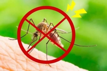 Dịch Vụ Diệt Muỗi Huyện Hóc Môn