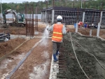 Lợi ích vượt trội của phương pháp diệt Mối bằng bả